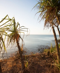 Images from Elcho Island, Arnhem Land, showing the coastal landscape and flora