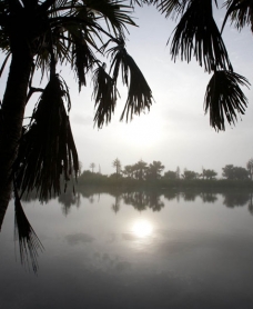 Arafura Swamp in Arnhem Land in northern Australia, the largest swamp in the southern hemisphere. Mist and fog creeps through the area after a late dry season storm, signaling the start of the wet